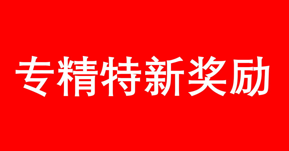 2023上海市專精特新獎(jiǎng)勵(lì)合集